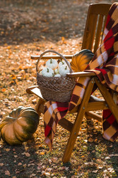 Similar image 22211341