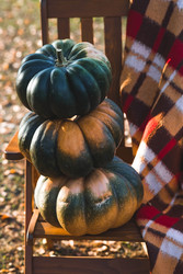 Similar image 22211343