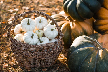 Similar image 22211344