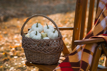 Similar image 22211345