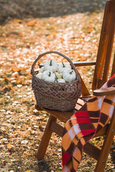 Similar image 22211346