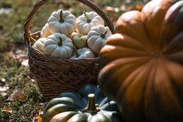 Similar image 22211347