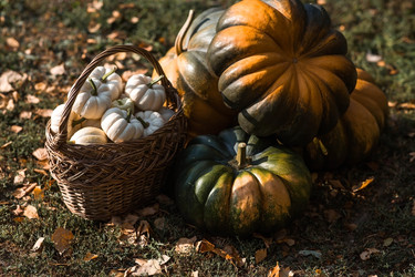 Similar image 22211348