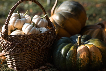 Similar image 22211349