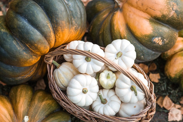 Similar image 22211350