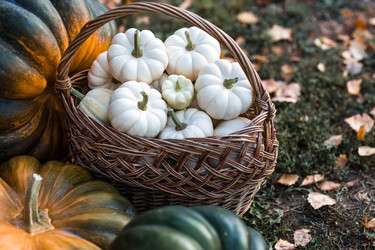 Similar image 22211351