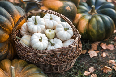 Similar image 22211352