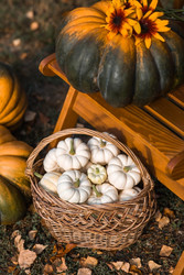 Similar image 22211353