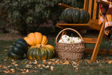 Similar image 22211354