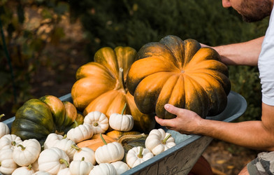 Similar image 22211355