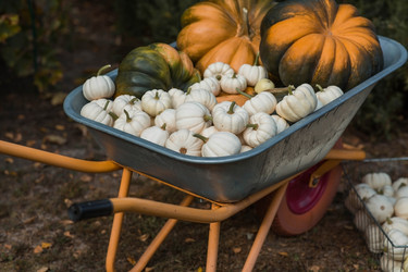 Similar image 22211356