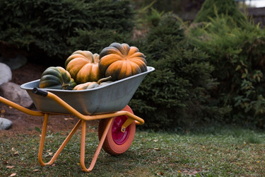 Similar image 22211357