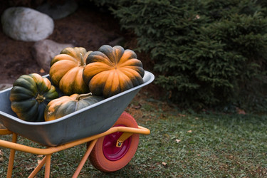 Similar image 22211358