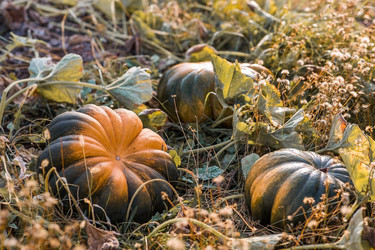 Similar image 22211360