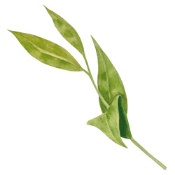 Similar image 22222063