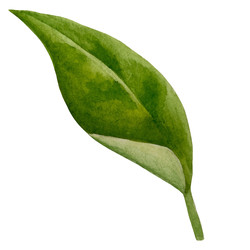 Similar image 22222064