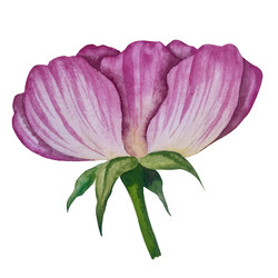 Similar image 22222065