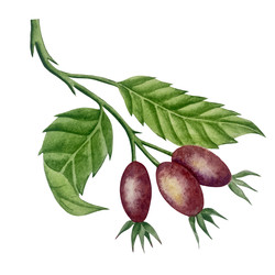 Similar image 22222067