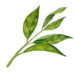 Similar image 22222068