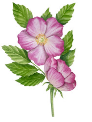 Similar image 22222069