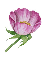 Similar image 22222070