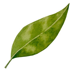 Similar image 22222092