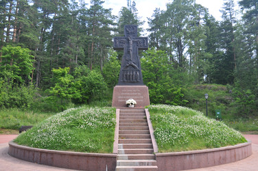 Similar image 22213438