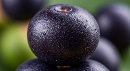 Similar image 22219625