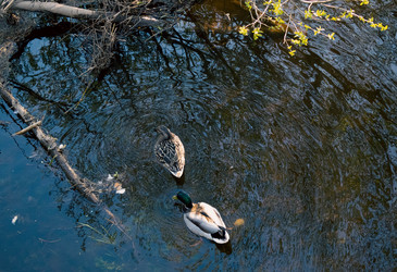 Similar image 22211124