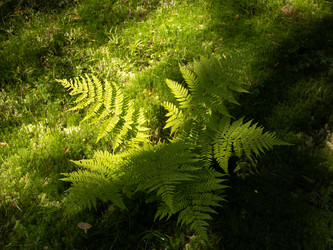 Similar image 22211127