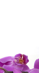 Similar image 22222471