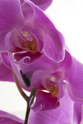 Similar image 22222473