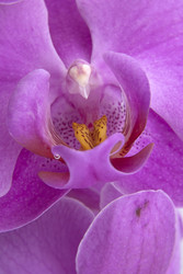 Similar image 22228720