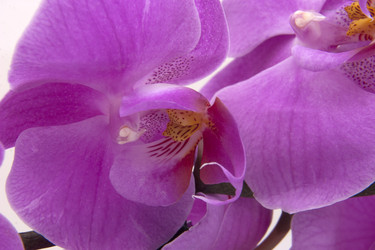 Similar image 22229788