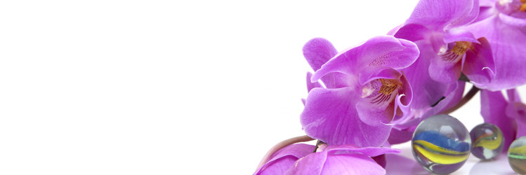 Similar image 22229791