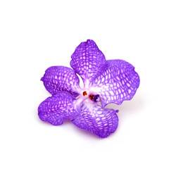 Similar image 22229798