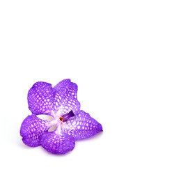 Similar image 22229799