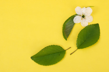 Similar image 22229873