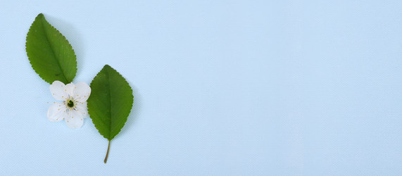 Similar image 22229874