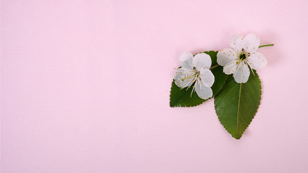 Similar image 22229875