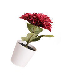 Similar image 22229979