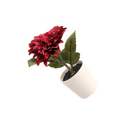 Similar image 22229982