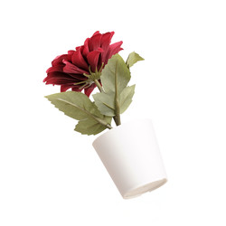 Similar image 22229984