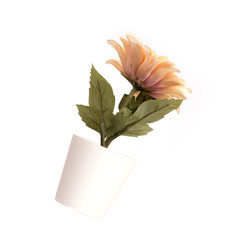 Similar image 22229985