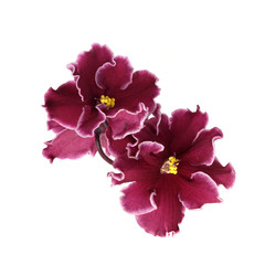 Similar image 22229988