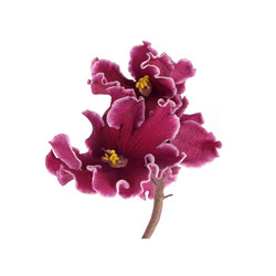 Similar image 22229989