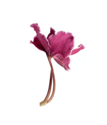 Similar image 22229990