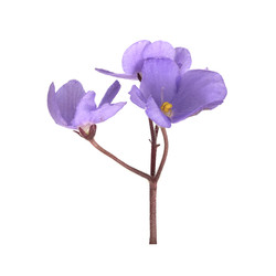 Similar image 22229991