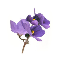 Similar image 22229992