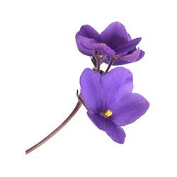 Similar image 22229993